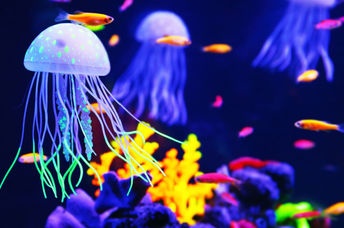 The robot was inspired by real jellyfish.