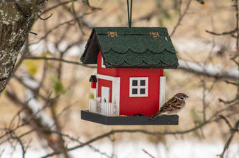 Having a birdhouse in your yard is good for the birds and for you.