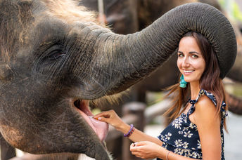 Elephant at the zoo with trainer..