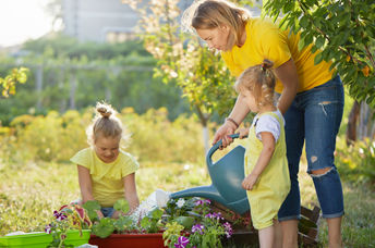 Tending a chaos garden.
