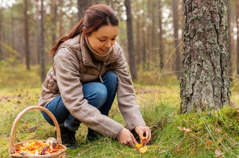 Picking mushrooms in a food forest.