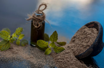 Bacopa is grown in India and used for healing.