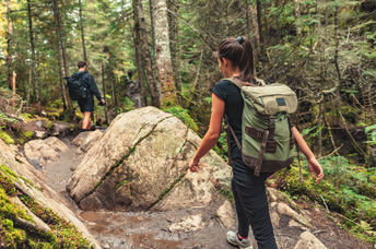Hiking on a forest trail.