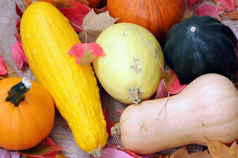 Several varieties of winter squash.