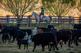 Rancher in Colorado.