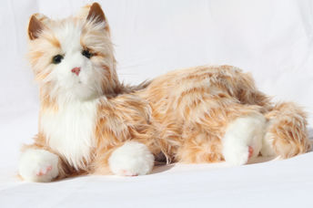 Robotic cats are good companions for the elderly.