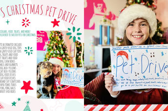 Milly Kukuczka ran a pet drive for shelter animals.