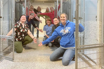 Empty kennels at the shelter.