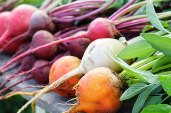 Different varieties of beets