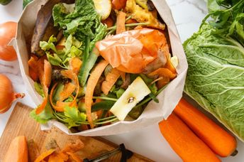 Food scraps that can be used to help plants.