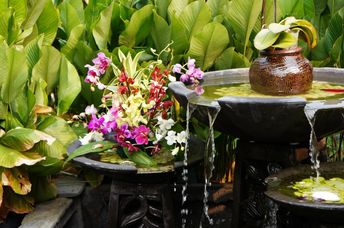 Enchanting Fend Shui garden.