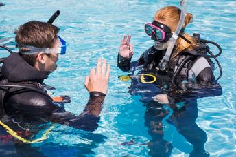 Learn how to scuba dive in Cape Town.