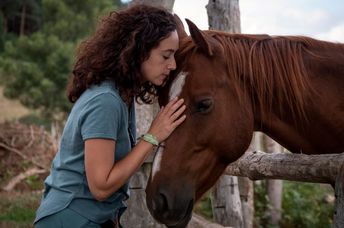 Equine therapy helps people disconnect from trauma.