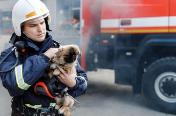 Firefighter rescuing a pet.