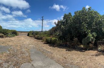 Leisa Elliot's winning ugly yard.