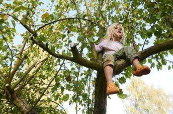 Climbing a tree helps build confidence.