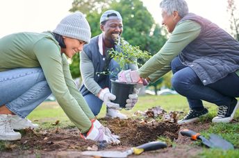 Volunteers planting trees in a park.