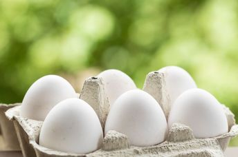 Egg substitutes are gaining in popularity.