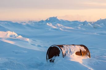 A rusty barrel on the shores of a frozen sea in the Arctic representing environmental pollution.