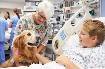 Therapy dog is cheering up boy in the hospital.