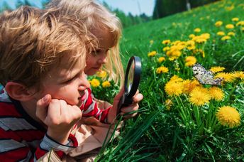 Children exploring nature.