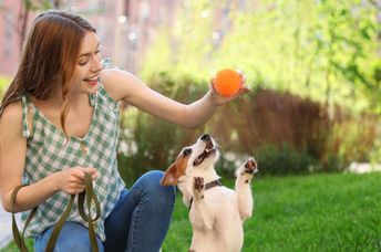 Young woman playing outdoors with an adorable Jack Russell Terrier dog.