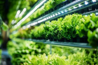 A vertical farm with stacked layers of plants.