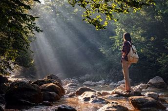 Taking a reflective walk in the woods.