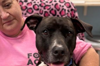 Sienna with a shelter volunteer.