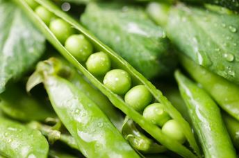 Green peas are good for your health.