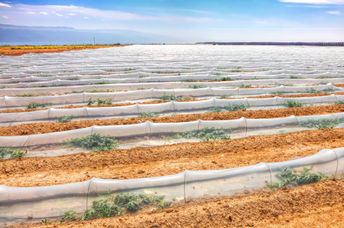 Israel has used a wide variety of innovative methods to conserve water.