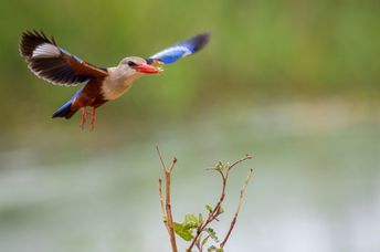 Nature lovers can now birdwatch from an air traffic control tower–themed hide near Heathrow Airport.