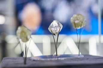 Close-up of rough diamonds displayed on metal stands.