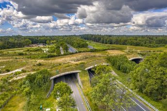 Aerial view of a wildlife overpass.