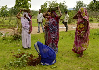 800.000 volunteers planted close to 50 million trees in just 24 hours. (Yann Forget / Wikimedia Commons / CC-BY-SA-3.0)