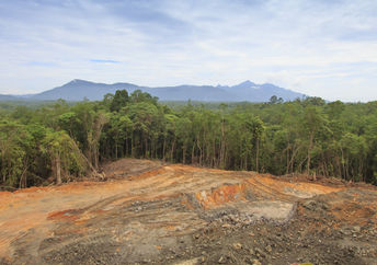 Deforestation: Scarred earth where tropical rain forest has been destroyed by human development in Borneo, Malaysia