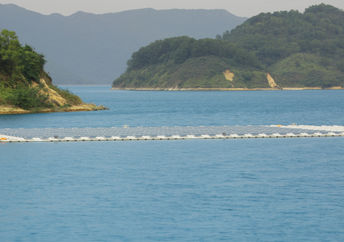 Solar panels on water at Plover Cove Reservoir