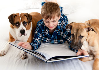 Kids reading to shelter dogs