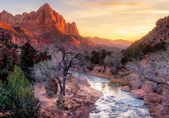 Hiking in the Zion National Park