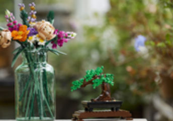 LEGOS new Flower Bouquets and Bonsai Trees.