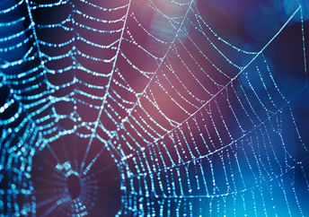 One of the new sustainable fashion materials.