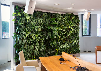 Green wall
