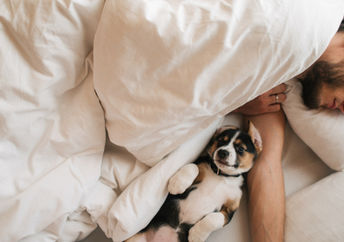 A man is asleep in bed with new innovative bedding.