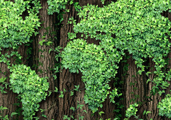 wooden map on the world,