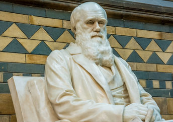 Charles Darwin.