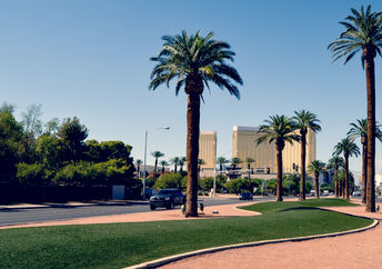 Decorate grass in Las Vegas