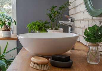Bathroom filled with plants