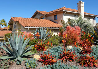 This home has drought-resistant landscaping.