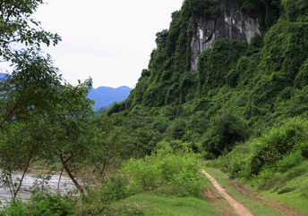 This beautiful reserve is home to the saola.