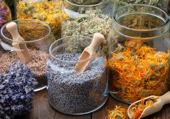 Jars and bundles of dried flowers used for making aromatic essential oils.